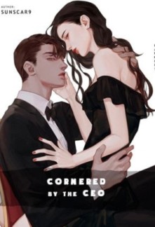 CORNERED BY THE CEO